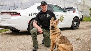 Inside CDCR: K-9 teams patrol state prisons