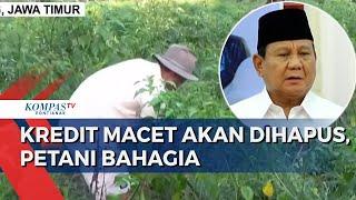 Petani Bahagia Presiden Prabowo Hapus Utang Kredit Macet UMKM