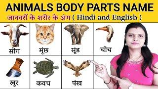 Animals Body Parts Name in hindi and English with Pictures | जानवरों के शरीर के अंगों के नाम