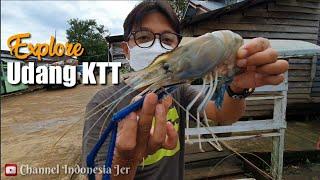 Explore Udang Kabupaten Baru KTT Kalimantan Utara - Indonesia Jer