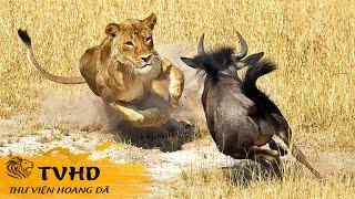  VÙNG ĐẤT HUYỀN THOẠI MASAI MARA VÀ CUỘC DI CƯ VĨ ĐẠI NHẤT HÀNH TINH! | TVHD