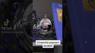 New popcorn bucket at Disneyland California! #popcornbucket #princess #disneyland