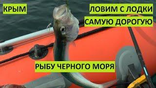 Крым. Ловим самую дорогую рыбу Черного моря