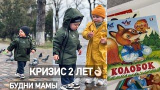 КРИЗИС 2-3 ЛЕТКАК РЕАГИРОВАТЬ НА ИСТЕРИКИПОЛЮБИЛ КНИГИГУЛЯЕМ С ДРУГОМ