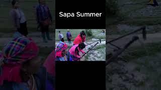 Summer in Sapa