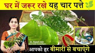 हर बीमारी को भगाएं - 4 Magical Leaves || यह 4 पत्ते जरुर खाएं - Health Benefits of Ayurvedic Plants