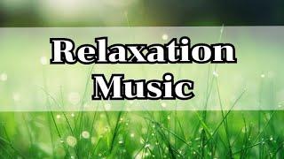 Relaxing music for meditation (no copyright) ARmus Lyrics