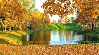 Autumn Nature Short Video, Relaxing Autumn Nature Scenery #BSmotion