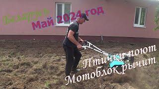 #Беларусь. Птички поют. Мотоблок рычит.