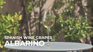 Spanish Wine Grapes: Albariño