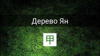 СТИХИЯ ЛИЧНОСТИ: ДЕРЕВО ЯН