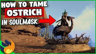 Soulmask - How To Tame OSTRICH Mounts Quick & Easy