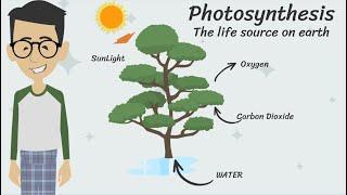 Kids Animation on Photosynthesis #kidslearning #sciencefacts