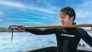 How Much Can a Free-Diving Fisherman Earn in One Month of Serious Spearfishing?『first part』