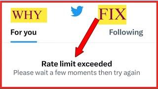 Twitter Rate Limit exceeded please wait a few moments then try again meaning