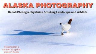 Alaska Photography | Wildlife Photography and Landscape Photography | Photography Guide Scouting