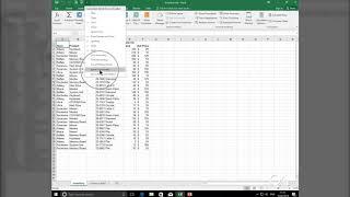 Learn how to use the Ribbon in Excel