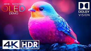 Most Unbelievable Dolby Vision 4K HDR 120 FPS Video ULTRA HD -Dolby Atmos | 4K_HDR_Videos