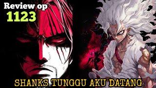 REVIEW OP 1123 - PERTEMUAN YG DINANTIKAN !!! YONKOU TERKUAT DAN JOYBOY | REVIEW ONE PIECE 1123