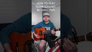 How to play Numb (Chords) by Linkin Park on Acoustic Guitar