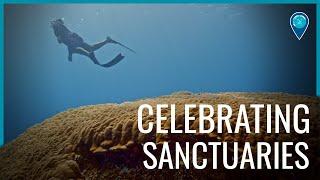 Almost 50 years of the National Marine Sanctuary System