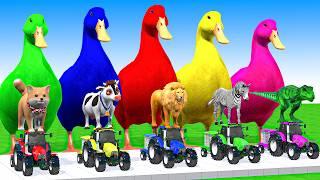 5 Giant Duck Cartoon, Cow, Elephant, Tiger, Dinosaur, Paint Wild Animals Crossing Fountain Animation