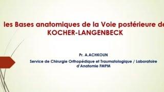 ANATOMIE FMPM les bases anatomiques de la voie postérieure de Kocher-Langenbeck