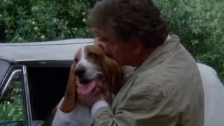 Columbo and his dog