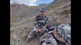 Colorado Mountain Goat Hunt 2022. Hunt of a Lifetime!