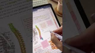 My iPad Writing Secret is out ️ Try Digital Planning, iPad Planning, GoodNotes5, Aesthetic Notes