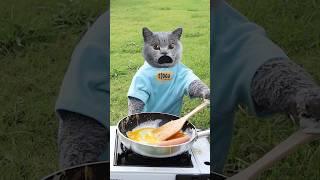 Dare To Try This Crazy Egg And Ham Trick? #funnycat #catmemes #trending