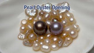 ASMR Demon Pot Freshwater Pearl Oyster Opening