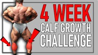 4 week Calf Growth Challenge (How Big Can They Get)
