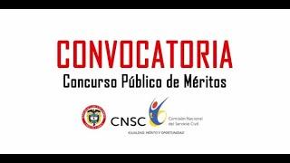 Experiencia laboral profesional concursos cnsc