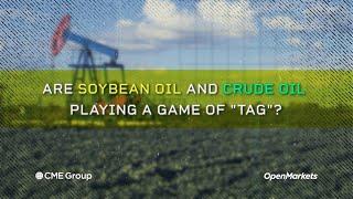 Economist Perspective: Are Soybean Oil and Crude Oil Playing A Game of "Tag"?