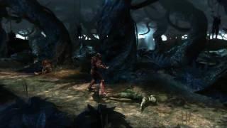 Mortal Kombat - Evironment Bio #02 - The Living Forest