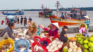 Hồi Hộp Vượt Cầu Rạch Miễu Trong Mưa Giông║Ba Tri Bến Tre Trúng Cá Đói Cá Vồ Cua