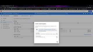Google Developer Console   Get Json File