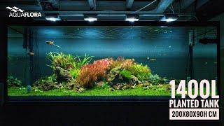 Aquaflora 1400L Planted Tank - 200x80x90h cm