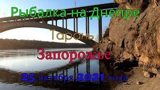 Рыбалка на Днепре возле моста Преображенского - Бабурка.ТАРАНЬ!!!(Запорожье) - 25 октября 2021 года.