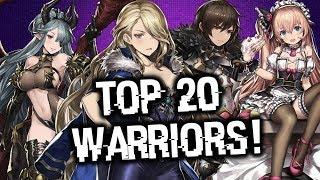 Top 20 Warriors Arena List Analysis!!! | Brown Dust