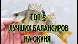 ТОП 5 ЛУЧШИХ БАЛАНСИРОВ ДЛЯ ЛОВЛИ ОКУНЯ