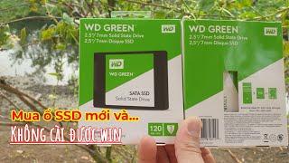 Mua ổ SSD mới và không cài được Windows, tại sao vậy?