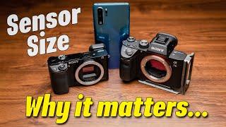 WHY SENSOR SIZE MATTERS - Do you really need a full frame camera in 2021!?