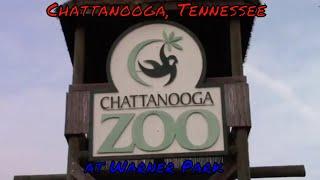 Chattanooga Zoo at Warner Park Full Tour - Chattanooga, Tennessee