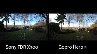 Sony FDR-X3000 vs Gopro Hero 5 - Image quality Test