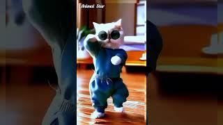 Cat dansh video // animals video  tera hi jamva..# cartoon short video #