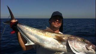 Haim & Lior Catch 12kg AmberJack & Grouper Daba 4 KG on Live Bait