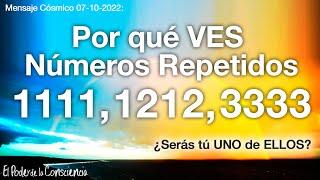 1111¿Los VES Tú? Muchos HUMANOS los estamos ViENDO hace TIEMPO Descubre POR QUÉ y para QUÉ 