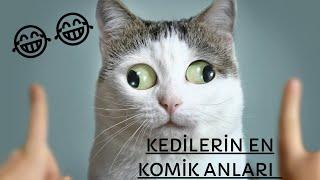 KEDİLERİN EN KOMİK ANLARI /// FUNNY CATS MOMENTS /// NE İZLESEM?